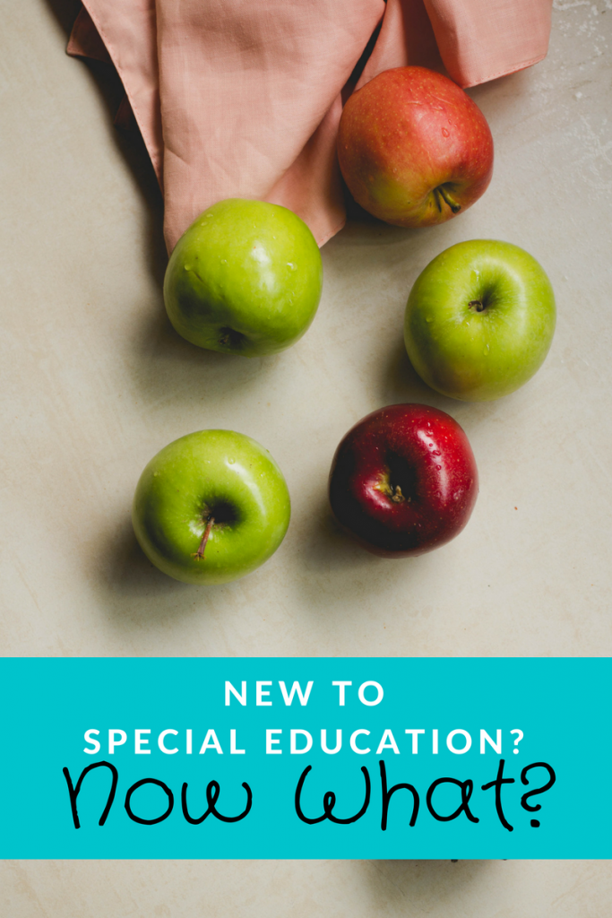You just got word that your child might be qualified for special education. Now what? Learn how to handle the next steps! | Meg Flanagan, MilKids Ed | Make the K-12 Journey Easier