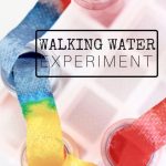 Summer learning activities with water are great for summer!
